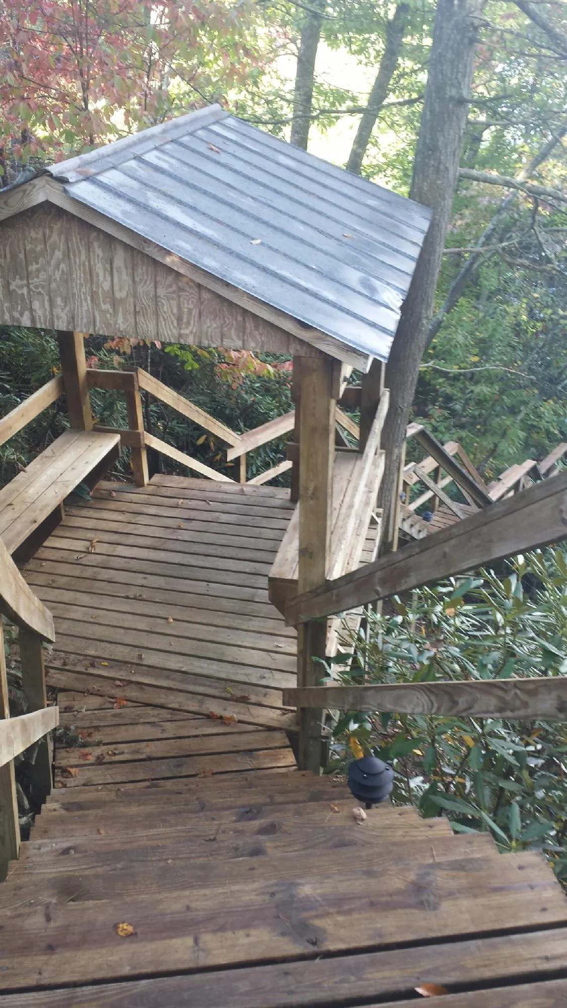 Metal roofed shelter over wooden steps on a wooded walkway — Skylight Repair & Installation work by our crew in Hayesville